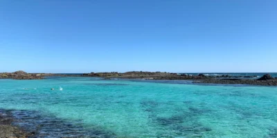 Oliva spanien blauhai greift schwimmer an