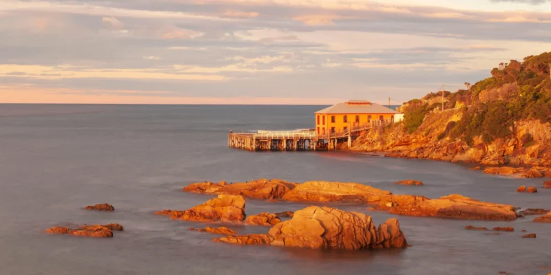 Tathra beach australia new south wales 9 jähriger entkommt haiattacke