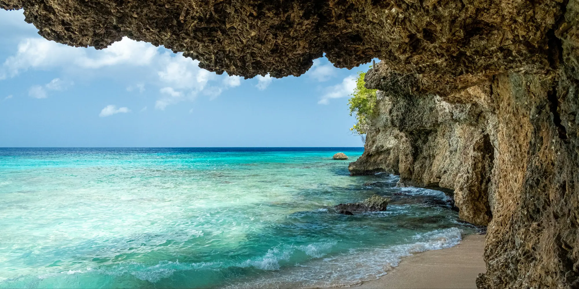 Curacao tauchen mit haien sandstrand unter einem überhang stehend